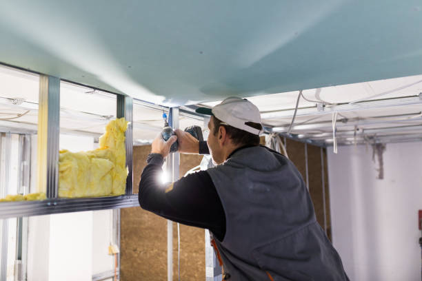 Best Batt and Roll Insulation  in Wyandotte, MI