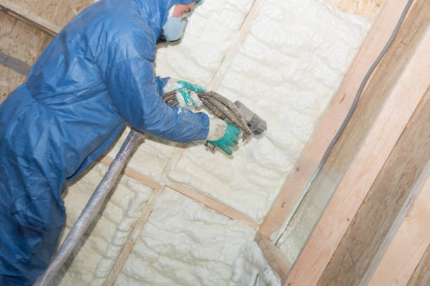 Best Basement Insulation  in Wyandotte, MI